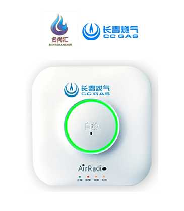 鉴黑担保网报警器（自然气）